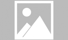 噬血狂袭动漫,异能者与吸血鬼的生死较量